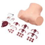 Simulador de habilidades ginecológicas ZOE® S504.200