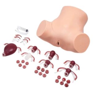 Simulador de habilidades ginecológicas ZOE® S504.200