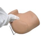 Simulador ginecológico SIMA GYN/AID® S503