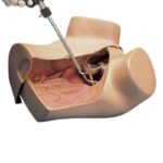 Simulador de habilidades ginecológicas ZOE® S504.100