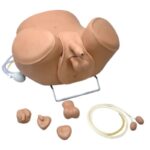 Simulador de tareas de cuidado masculino multiusos ZACK™ S230.11