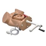 Pelvis OB SUSIE® S500.100 para práctica de parto y maniobras obstétricas básicas.