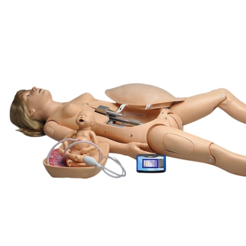 Simulador de cuidados maternos con OMNI NOELLE® S551