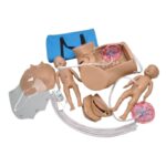 Pelvis SUSIE® S500 para práctica de parto y maniobras obstétricas en simulación clínica.