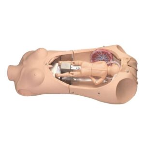 Simulador NOELLE® S552 con OMNI para práctica de parto, cuidados maternos y reanimación neonatal.