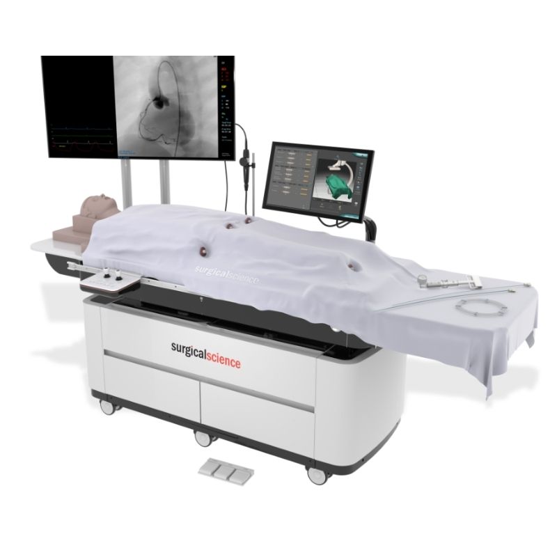 Simulador Angio mentor Suite
