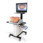 Simulador Pelvic Mentor para práctica de exámenes pélvicos y procedimientos ginecológicos en adultos