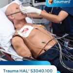 Simulador de Trauma HAL® S3040.100 para entrenamiento en manejo de emergencias y trauma en adultos.