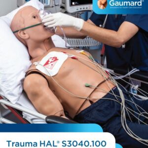 Simulador de Trauma HAL® S3040.100 para entrenamiento en manejo de emergencias y trauma en adultos.